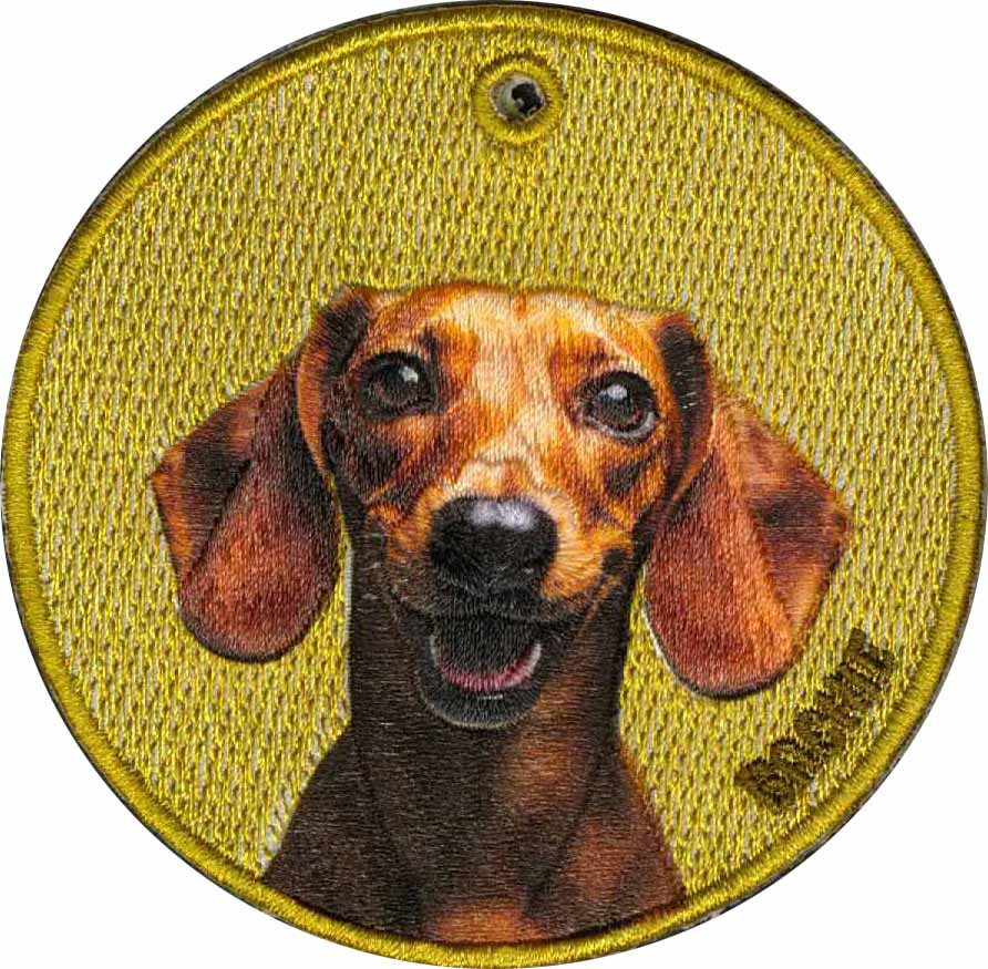 When embroidery meets cute pets, a warm and healing cultural and creative journey begins.