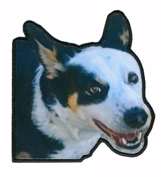 sublimation printing patch (4)