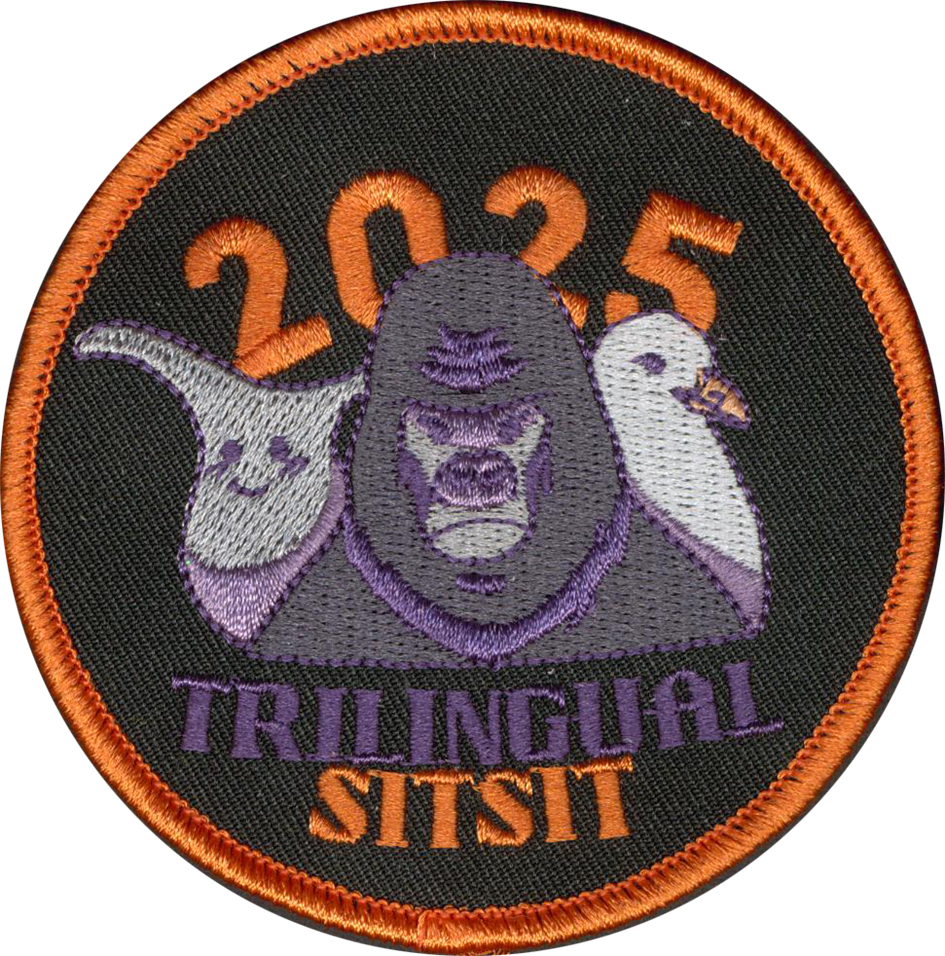 Customized Embroidered Patches: A Special Edition