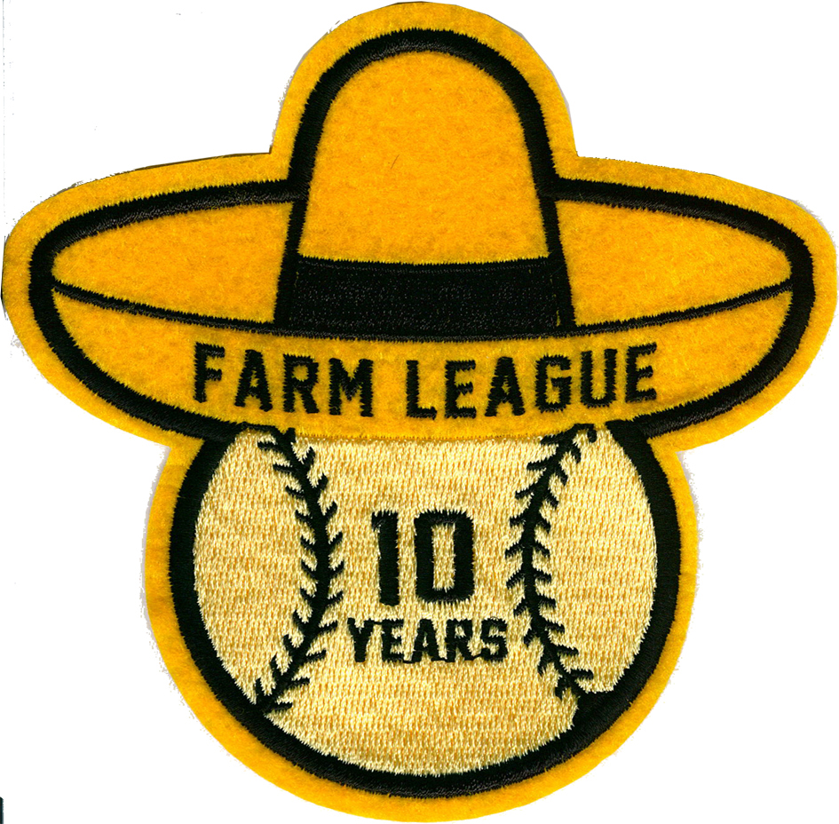 This kind of embroidery work is so charming that it is hard to put down!